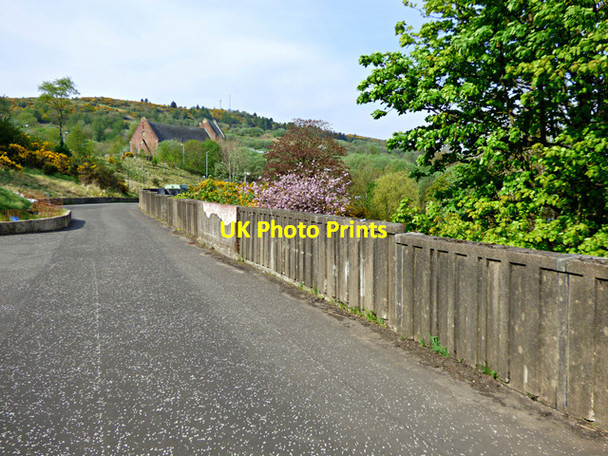 Photo 6"x4" Belville Community Garden Greenock\/NS2776 c2016