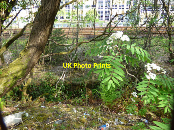 Photo 6"x4" Former railway line Greenock\/NS2776 c2016