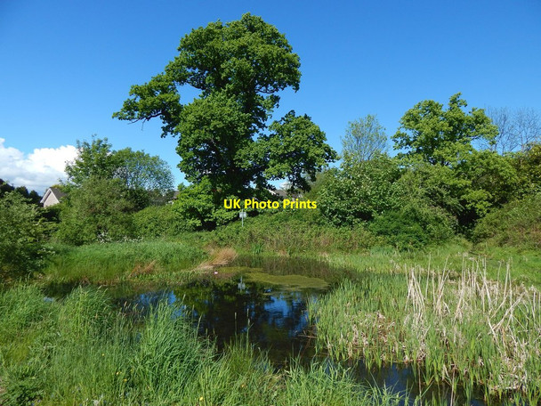 Photo 6"x4" Pond beside Strathleven House Alexandria c2016