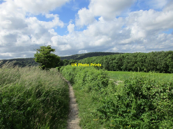 Photo 6"x4" Bridleway near Stoke Clump West Stoke\/SU8208 c2016