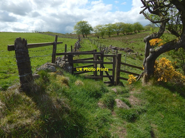 Photo 6"x4" Path to Killoch Glen Barrhead c2016