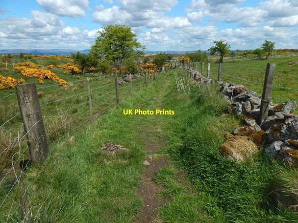Photo 6"x4" Approaching a path junction Barrhead c2016