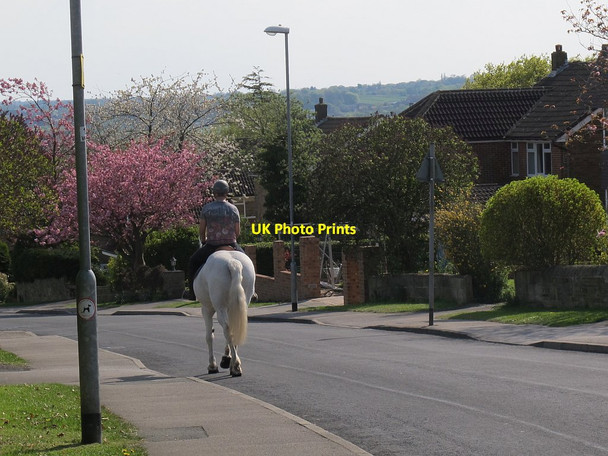 Photo 6"x4" Urban horse rider Horsforth c2016