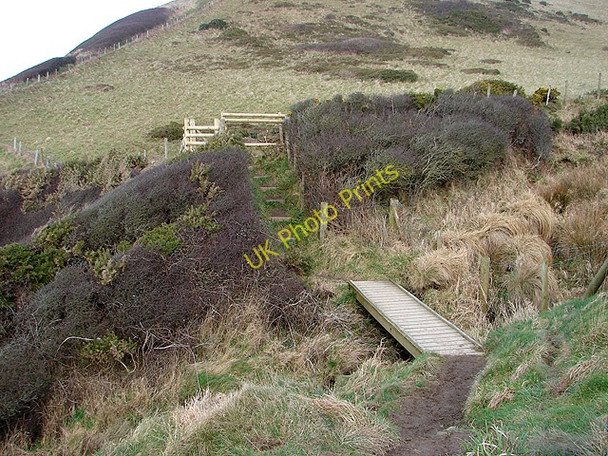 Photo 6"x4" Footbridge and gate on the Ceredigion Coastal Path Upper Borth c2009