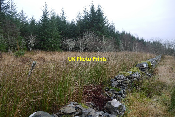 Photo 6"x4" Highfields Muir Highfields\/NS3285 c2015