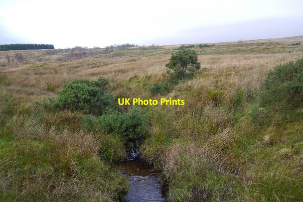 Photo 6"x4" Lauren Burn Helensburgh c2015