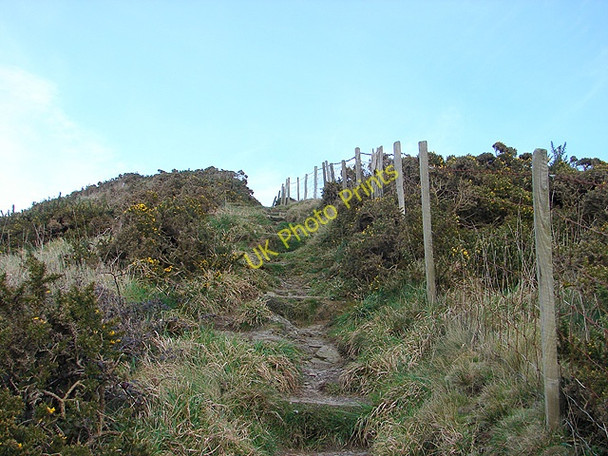 Photo 6"x4" Still climbing Upper Borth c2009