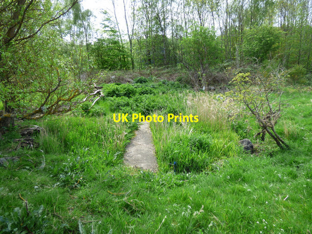 Photo 6"x4" Small marsh at Parklea Parkhill\/NS3573 c2016