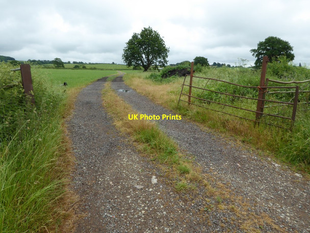 Photo 6"x4" Farmland track Holly Green\/SO8641 c2016