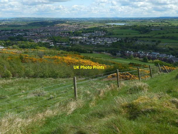 Photo 6"x4" Fence beside path to Killoch Glen Barrhead c2016