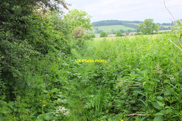 Photo 6"x4" Footpath through the greenery above Newstead Melrose\/NT5434 c2016