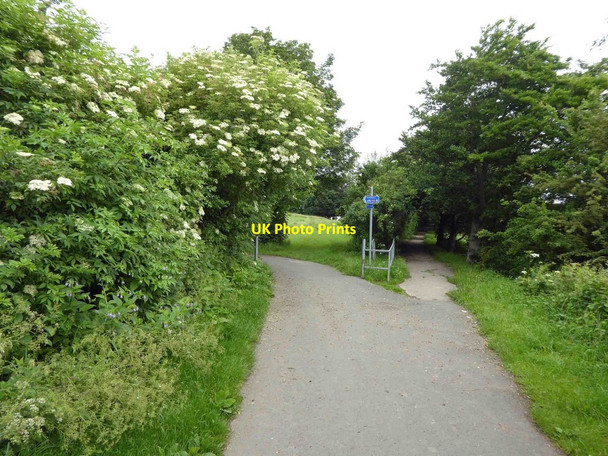 Photo 6"x4" Ossett to Dewsbury greenway (NCN 699) Ossett c2016