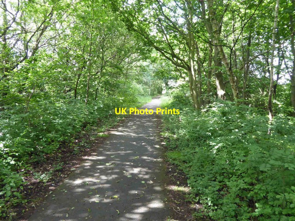 Photo 6"x4" A green greenway Huddersfield c2016