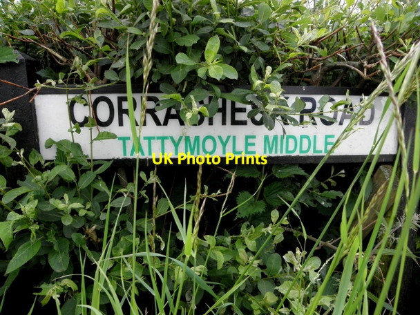 Photo 6"x4" Hidden road sign, Tattymoyle Middle Fintona c2016