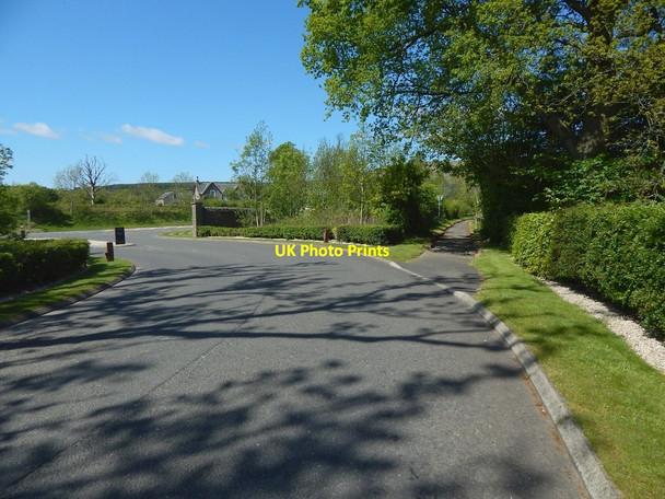 Photo 6"x4" Road from the Carrick Arden\/NS3684 c2016