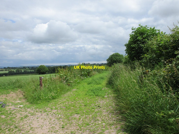 Photo 6"x4" Field entrance and farm track near Britway Ballynoe c2016