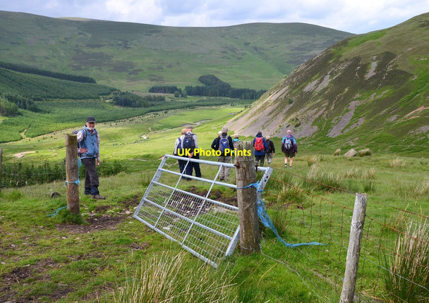 Photo 6"x4" Descent to the Manor Valley Langhaugh\/NT2031 c2016
