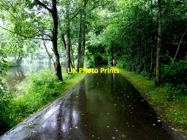 Photo 6"x4" A wet path, Mullaghmore Omagh c2016