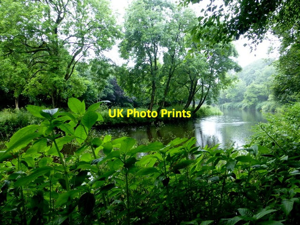 Photo 6"x4" Camowen River, Mullaghmore Omagh c2016
