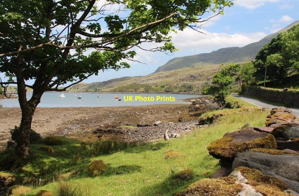 Photo 6"x4" The head of Killary Bay Little Glassillaun c2016