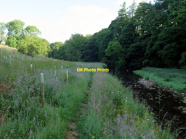 Photo 6"x4" Hoff Beck near Cuddling Hole Appleby-in-Westmorland c2016