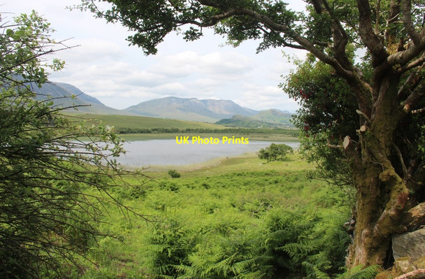 Photo 6"x4" Head of Lough Corrib Maum c2016