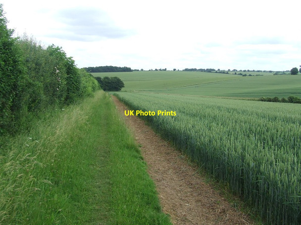 Photo 6"x4" Rolling Hills Audley End\/TL5237 c2016