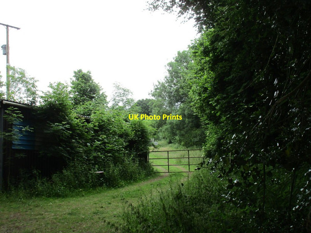 Photo 6"x4" Entrance to a field Kenn\/SX9285 c2016