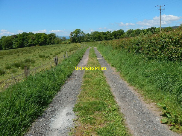 Photo 6"x4" Path to Kilmahew Cardross\/NS3477 c2016