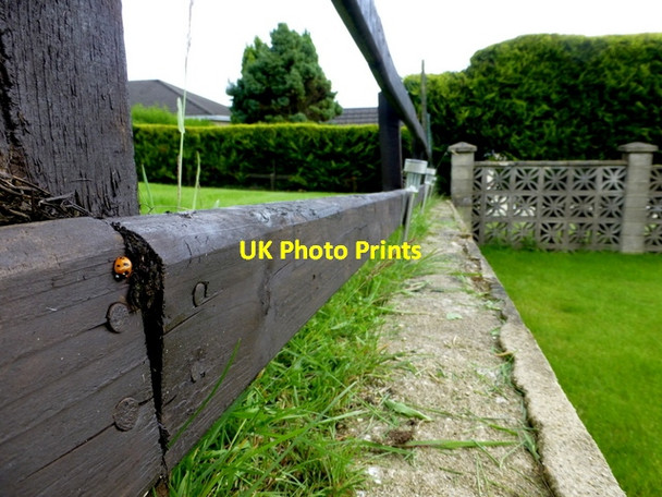 Photo 6"x4" Garden fence, Knockgreenan, Omagh Omagh c2016