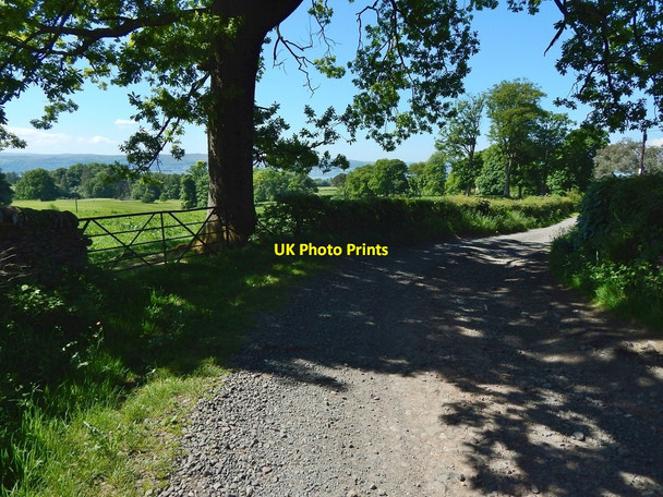 Photo 6"x4" Track near Kilmahew Farm Cardross\/NS3477 c2016