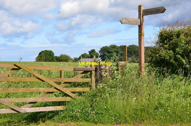 Photo 6"x4" Footpath signpost north of Chirnside Chirnside c2016