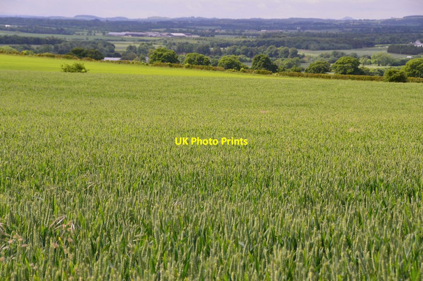 Photo 6"x4" Arable field north of Chirnside Chirnside c2016