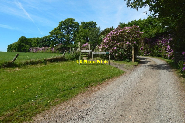 Photo 6"x4" Core path entering field Kelhurn c2016