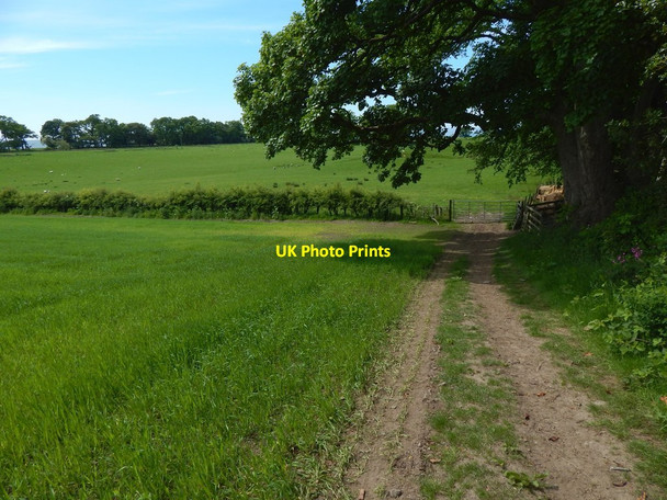 Photo 6"x4" Path following northern edge of field Kelhurn c2016 P2
