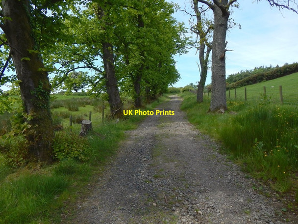 Photo 6"x4" Path to Red Road Kelhurn c2016