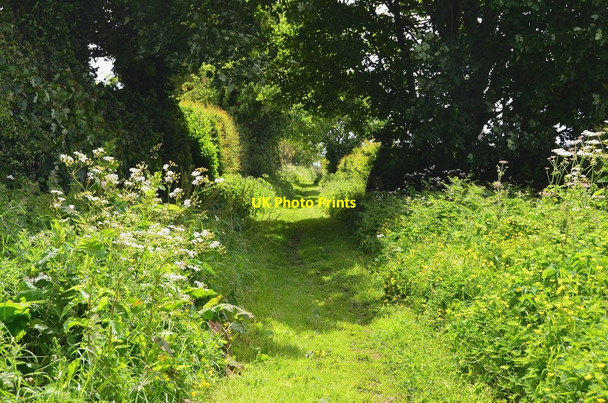 Photo 6"x4" Market Road path, Chirnside Chirnside c2016