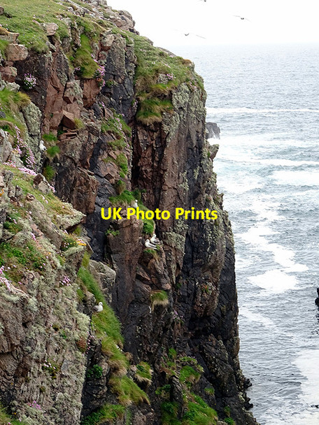 Photo 6"x4" Cliffs on Skelda Ness Scarvister c2016