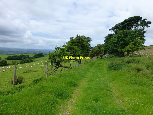 Photo 6"x4" Track to Lupton High Lupton c2016