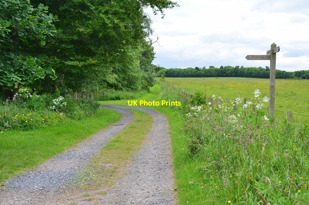 Photo 6"x4" Signpost near Ninewells Allanton\/NT8654 c2016