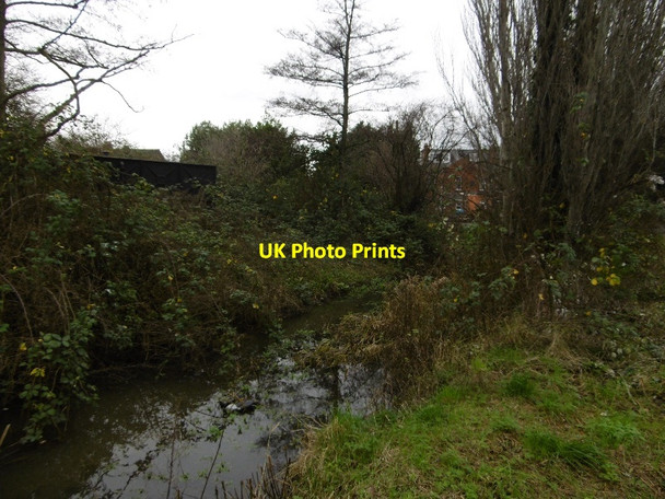 Photo 6"x4" Widemarsh Brook Hereford c2015