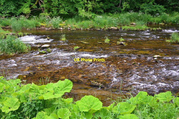 Photo 6"x4" The Whiteadder Water near Chirnside Allanton\/NT8654 c2016