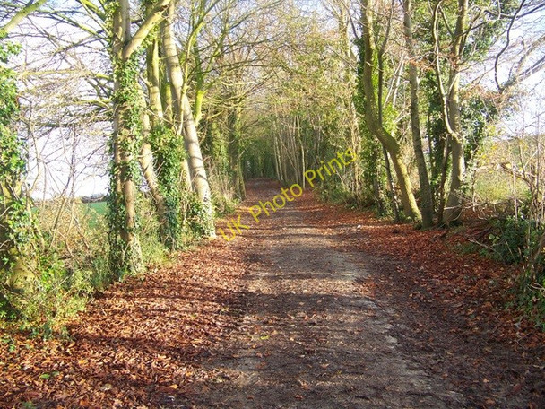 Photo 6"x4" Avon Valley Path near Nunton Nunton c2008