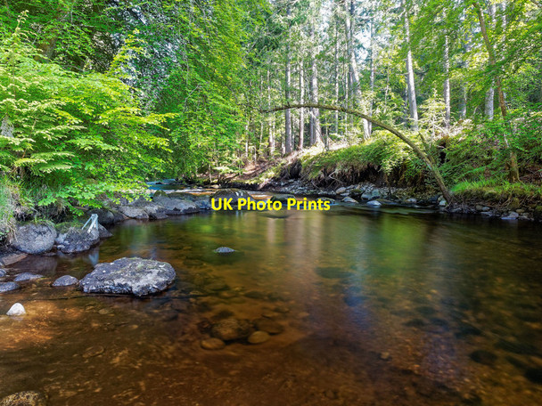 Photo 6"x4" The Allt Graad Evanton\/Baile-Eoghain c2016