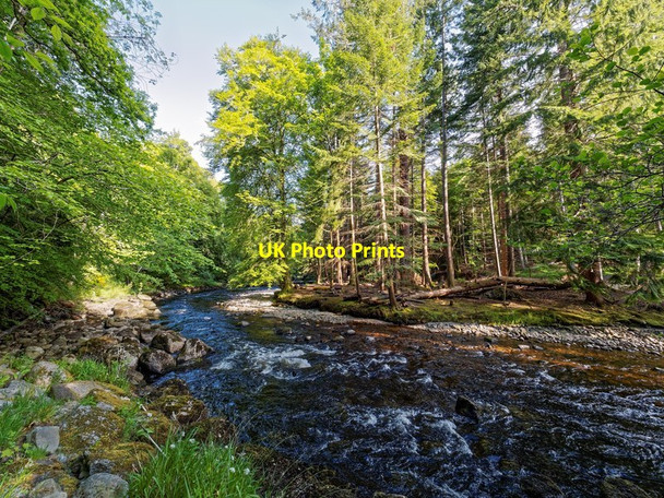 Photo 6"x4" The Allt Graad Evanton\/Baile-Eoghain c2016 P1