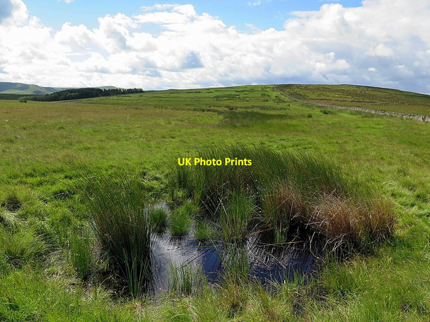 Photo 6"x4" Pond near Five Stanes Stone Circle Chatto c2016