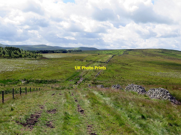 Photo 6"x4" Dere Street near Rashy Knowe Chatto c2016