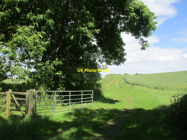 Photo 6"x4" The beginning of a bridleway across Huggate Heads Huggate c2016