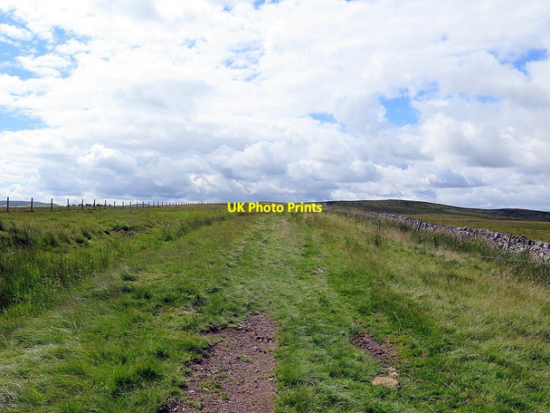 Photo 6"x4" Dere Street north of Five Stanes Stone Circle Chatto c2016