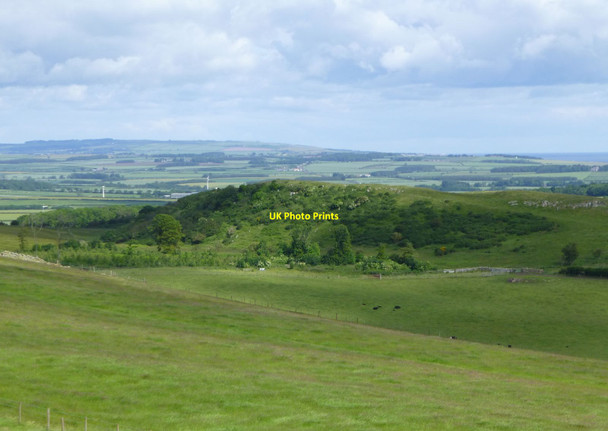 Photo 6"x4" Ewe Hill Fenwick\/NU0640 c2016